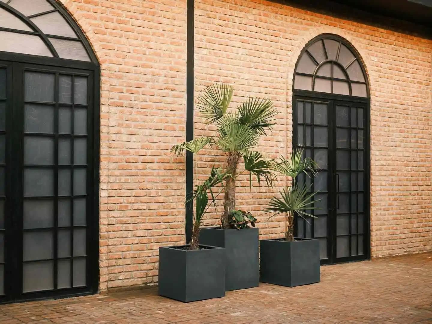 عمارت آلفا 1