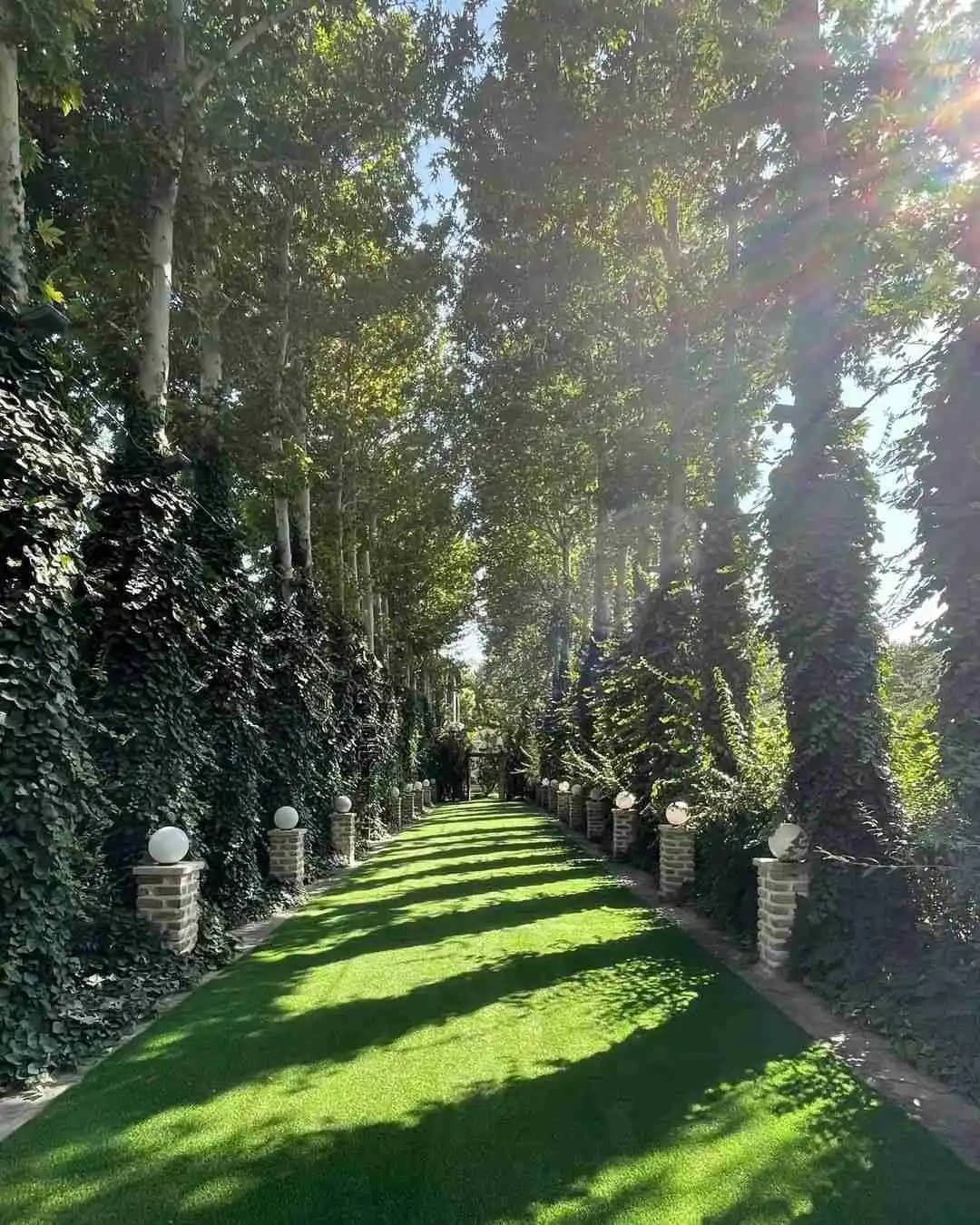 باغ عمارت صدرا 3
